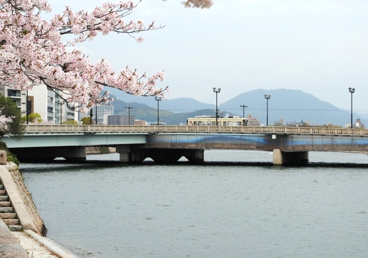 平和公園の桜_f0361605_20394865.jpg