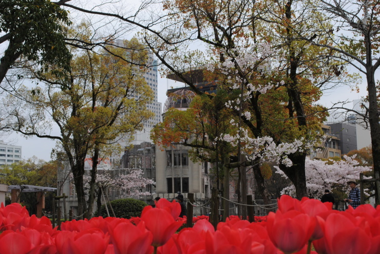 平和公園の桜_f0361605_20412323.jpg