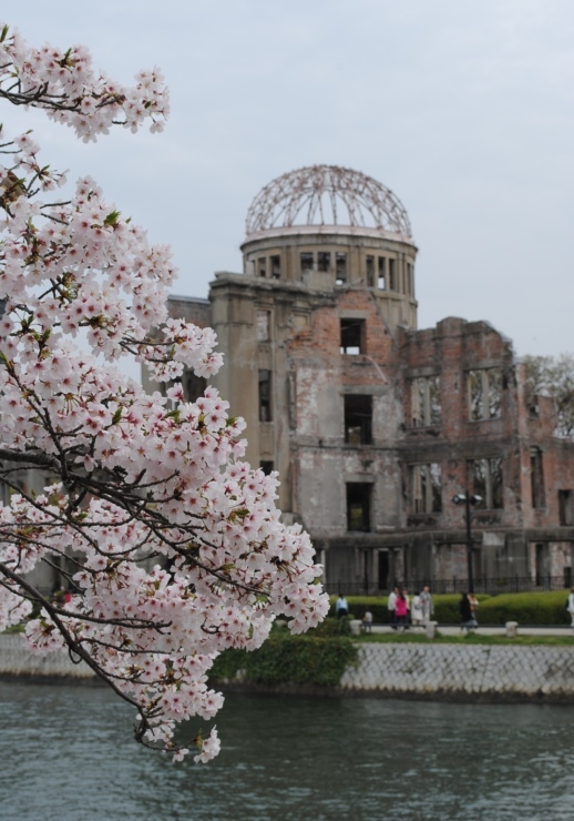 平和公園の桜_f0361605_20414143.jpg