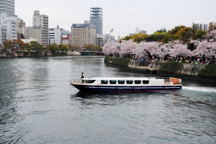 平和公園の桜_f0361605_20455647.jpg