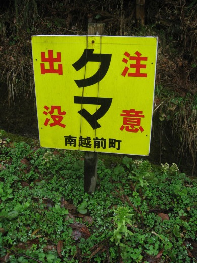 c0062511_21504868.jpg