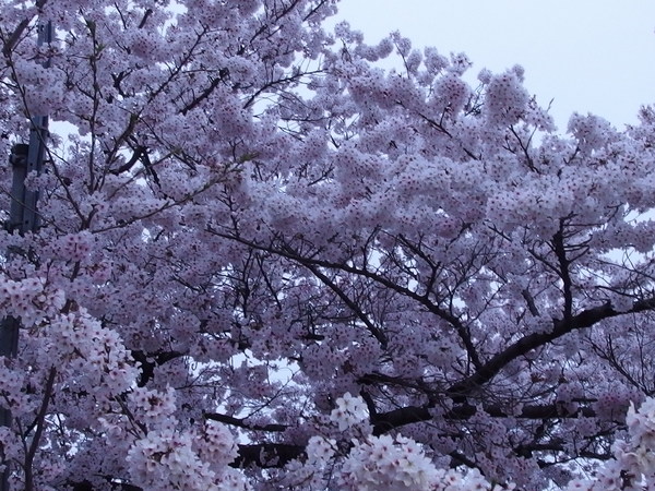 c0022113_0191285.jpg