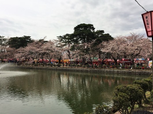 上越市　高田城の桜_e0205713_20490490.jpg