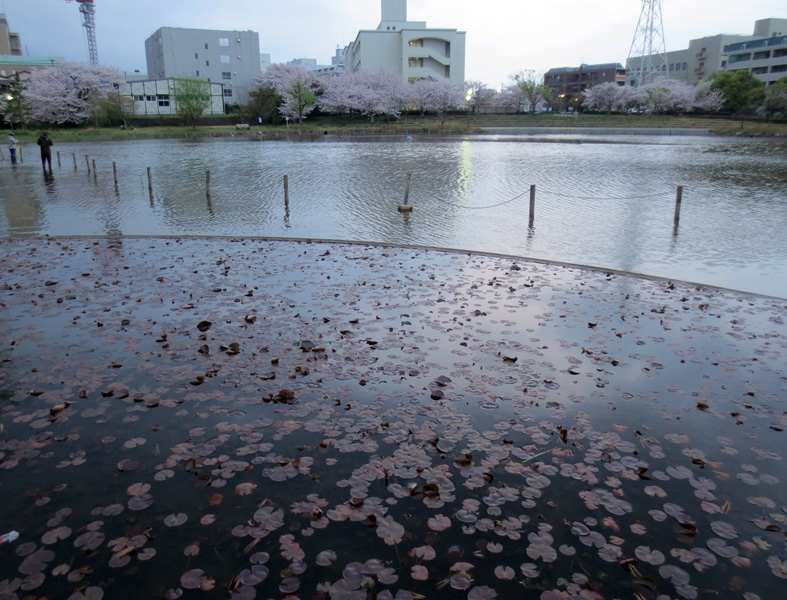 ■「植民地」とは何か、そして週替わりの夕暮れ［4/9］_d0190217_2303667.jpg