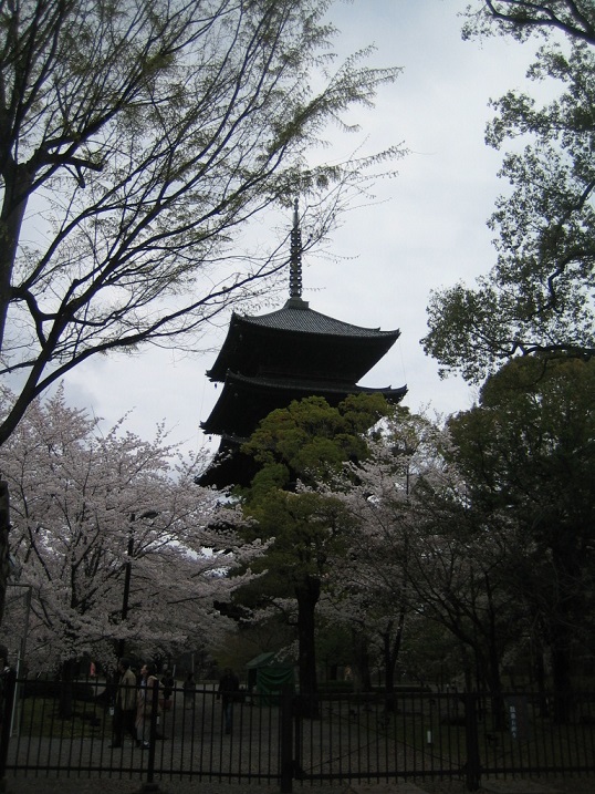 c0054118_2053387.jpg