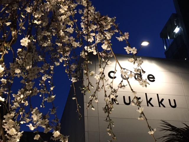 夜桜お花見@代々木VILLAGE_e0208519_1023569.jpg