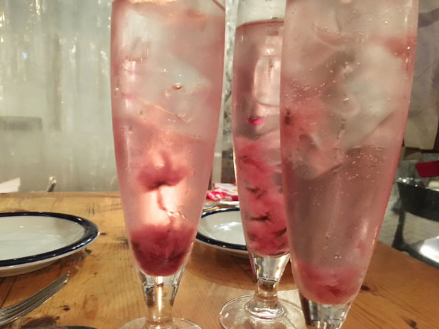 夜桜お花見@代々木VILLAGE_e0208519_10404670.jpg