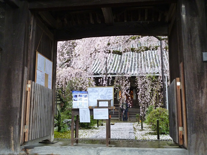 f0228619_20223114.jpg