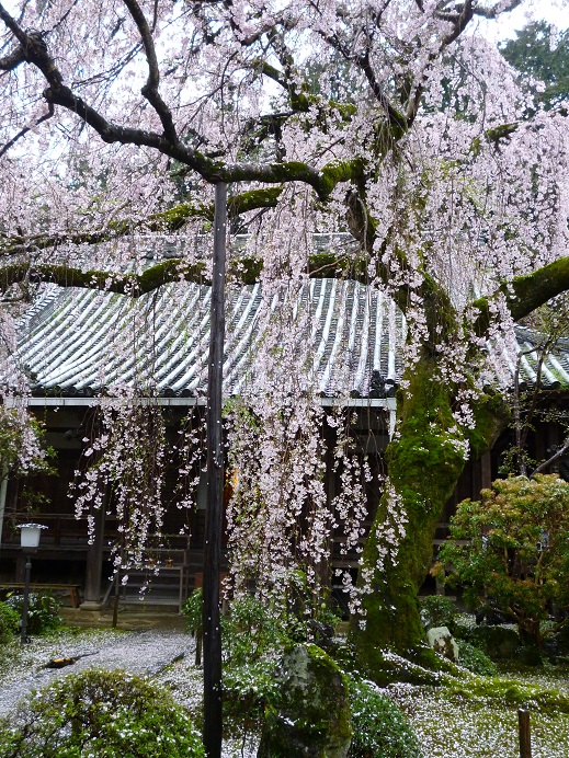 f0228619_2023097.jpg