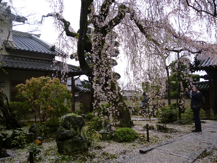 f0228619_20231719.jpg