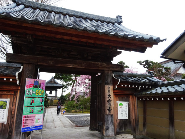 大宝寺（武生）で枝垂桜を見た 2017/04/08_e0192725_19014019.jpg