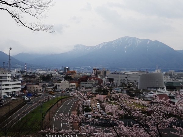 金崎宮（敦賀）で桜を見た　2017/04/08_e0192725_22053317.jpg