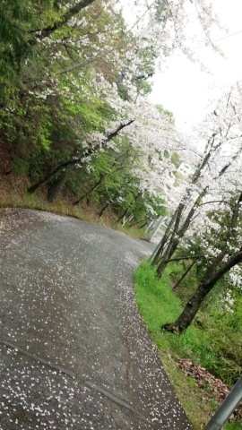 c0173826_21033751.jpg