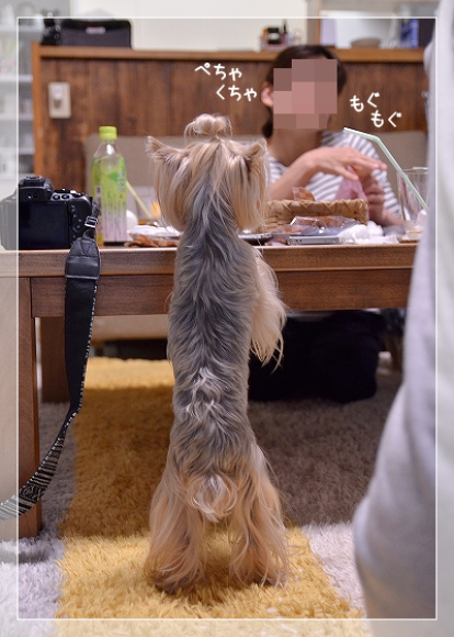 d0179828_12010003.png