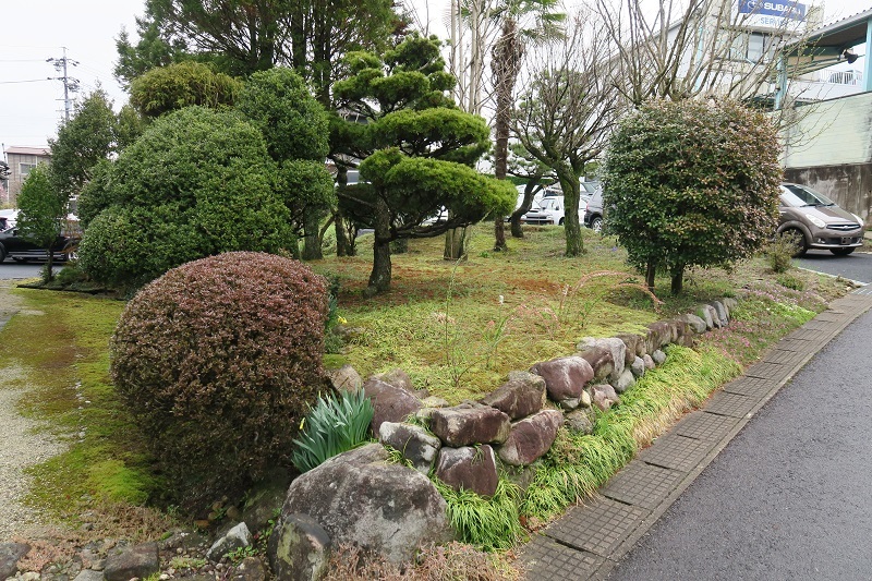 発芽力と桜祭り_f0076731_20455728.jpg