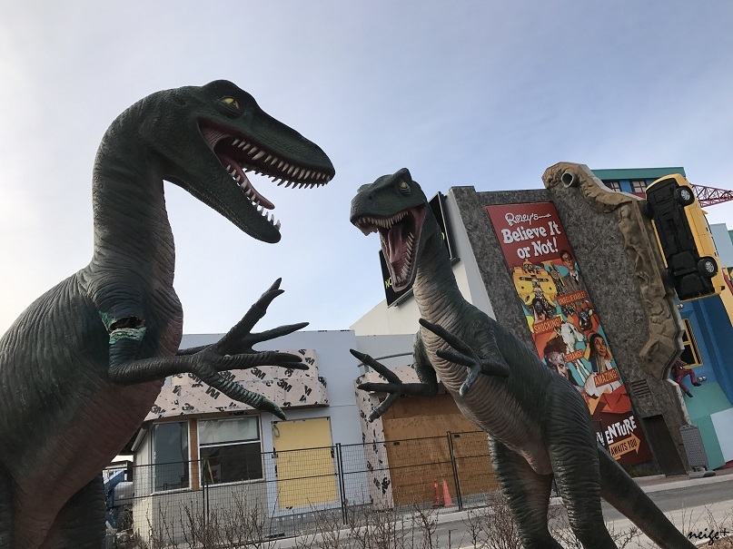 カナダ旅行オンタリオ湖までドライブ♪ナイアガラオンザレイク_f0023333_21371064.jpg