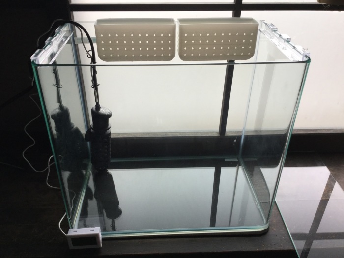 3Dプリンタを活用したアクアポニックスのようなモノ_d0067943_10374349.jpg