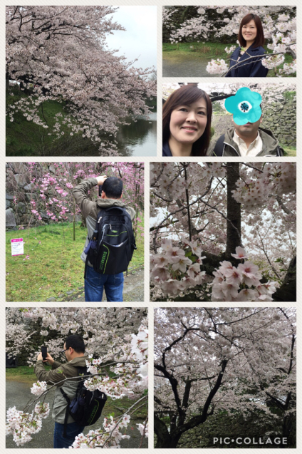 お花見デート♪@舞鶴公園_f0140145_21254591.jpg