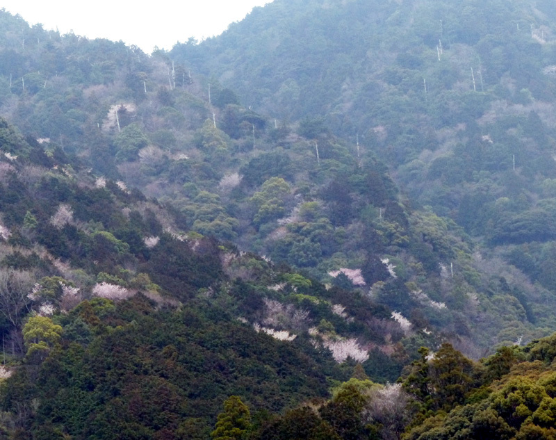 d0322448_16261810.jpg