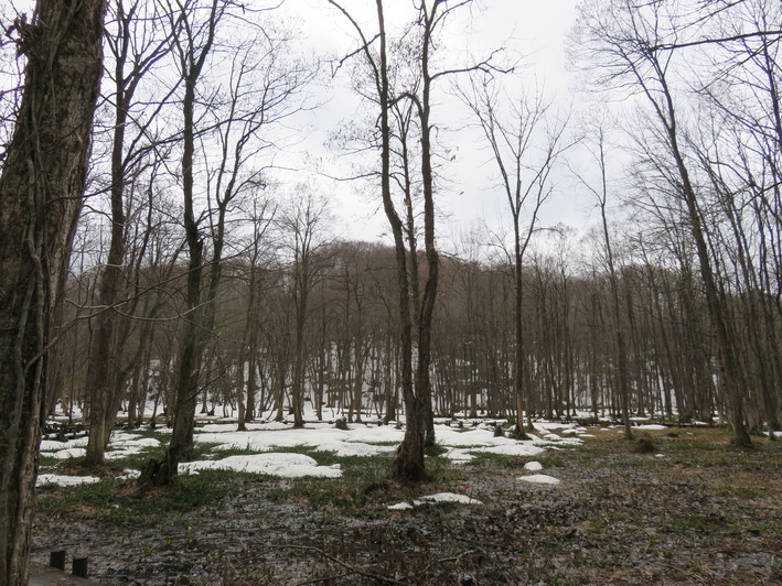 b0238249_21325634.jpg