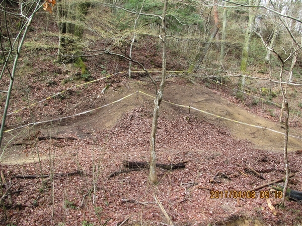 f0037753_00373426.jpg
