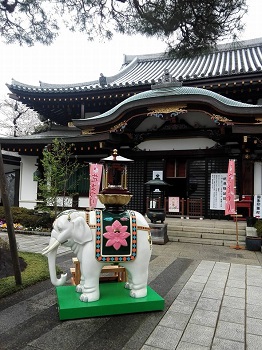 花まつり_a0061057_21211675.jpg