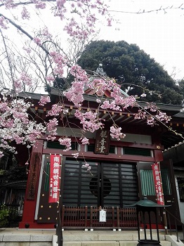 花まつり_a0061057_2122128.jpg