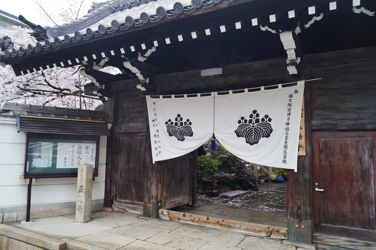 はなまつりの日に桜咲く　＠大阪・正法寺_b0063958_444295.jpg