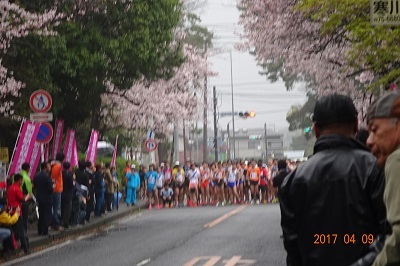 寒川町／観桜駅伝競走大会（2017.4.9）_d0239667_10275115.jpg