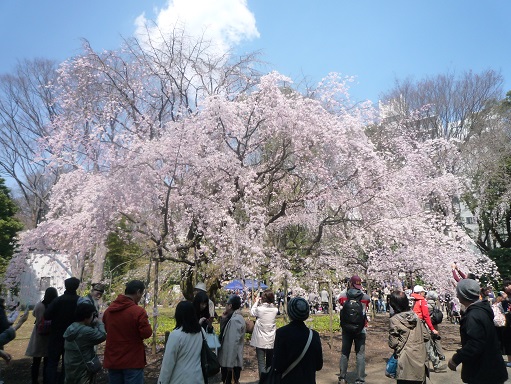 c0273271_1422760.jpg
