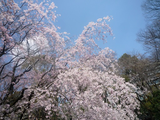 c0273271_1462239.jpg