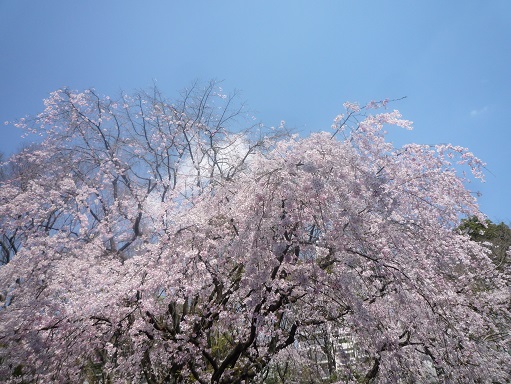 c0273271_1473398.jpg