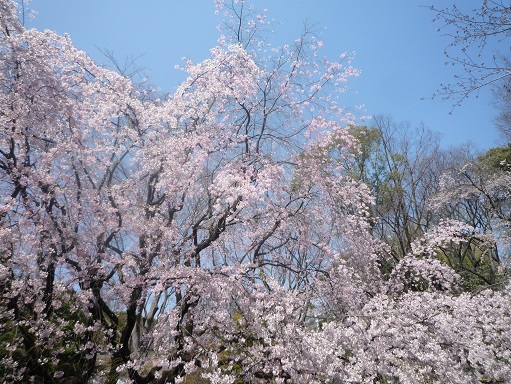 c0273271_148023.jpg