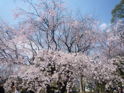 c0273271_1483090.jpg