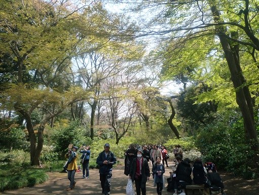 c0273271_1494985.jpg