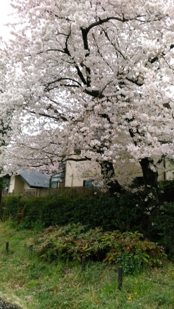 c0162773_00304078.jpg