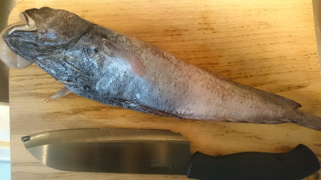 黒い深海魚にも挑戦 のんびりと ゆったりと しっかりと 黒い深海魚にも挑戦 のんびりと ゆったりと しっかりと