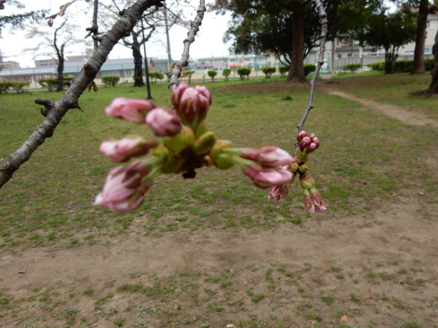e0355177_09433661.jpg