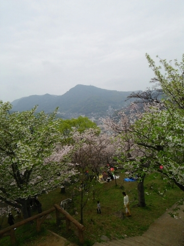 桜 2017 続_d0021778_22594990.jpg