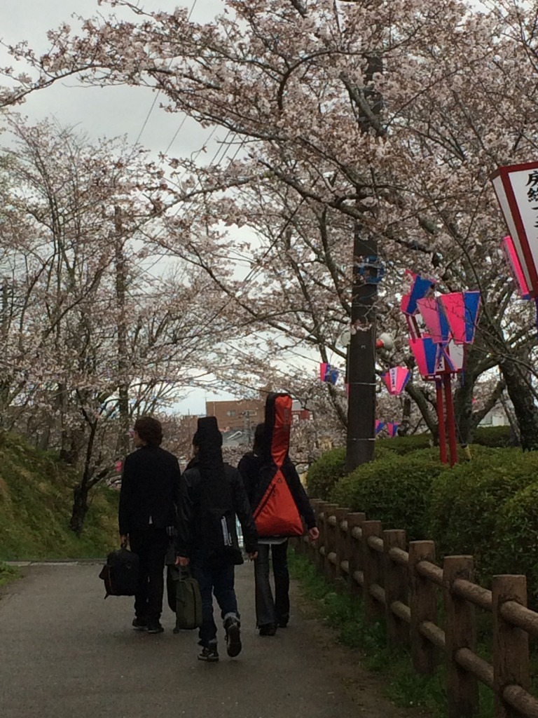 RÖUTE LIVE！茂原桜祭り2017/4/8 写真集_d0061678_17053894.jpg