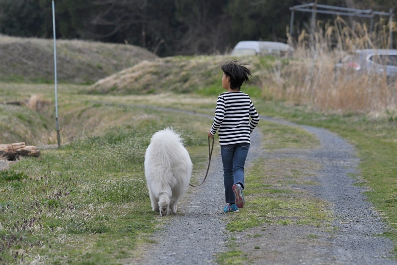 孫の春休みのお付き合い（2017/4/3.5）_f0031682_11013948.jpg