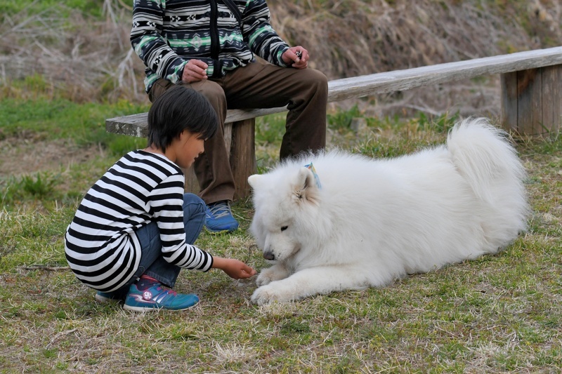 孫の春休みのお付き合い（2017/4/3.5）_f0031682_11013979.jpg