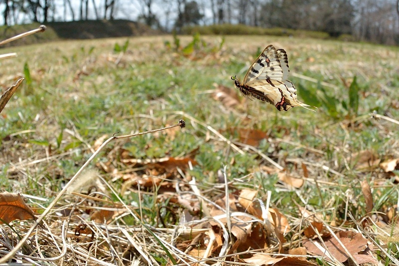 f0031682_11014675.jpg
