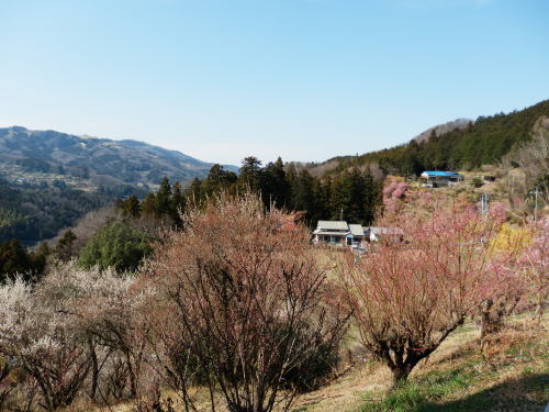 b0334084_18512000.jpg