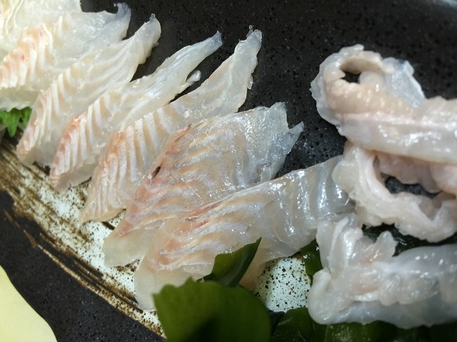 バケ シタビラメ_d0268290_8295558.jpg