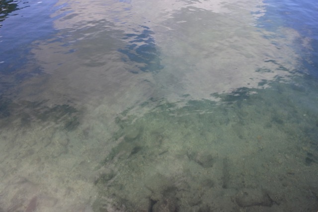 カリビアンクルーズ：Swim with The Stingrays @ St. John\'s, Antigua_b0364498_14322907.jpg