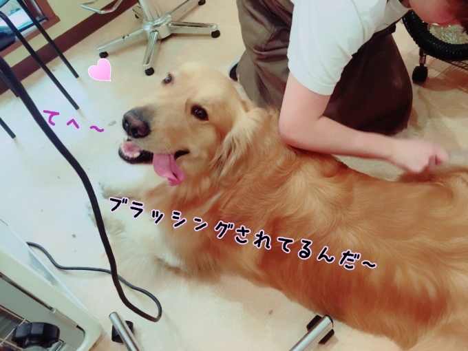 d0269898_17351340.jpeg