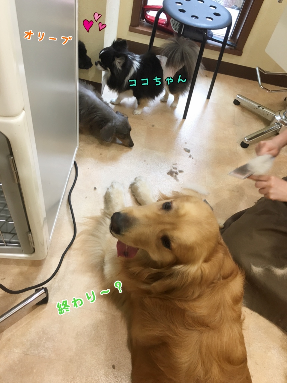 d0269898_17352940.jpeg