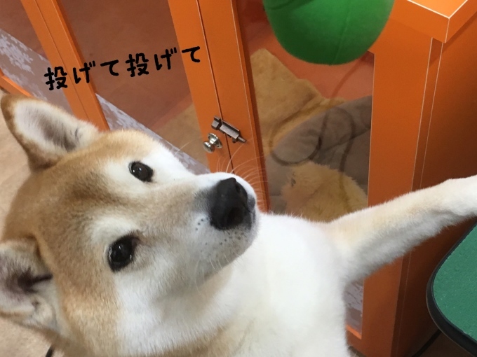 d0269898_17354501.jpeg