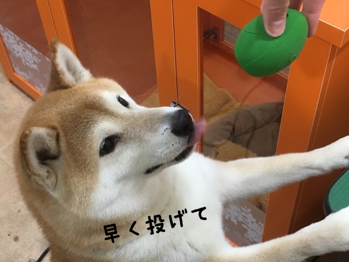 d0269898_17360132.jpeg